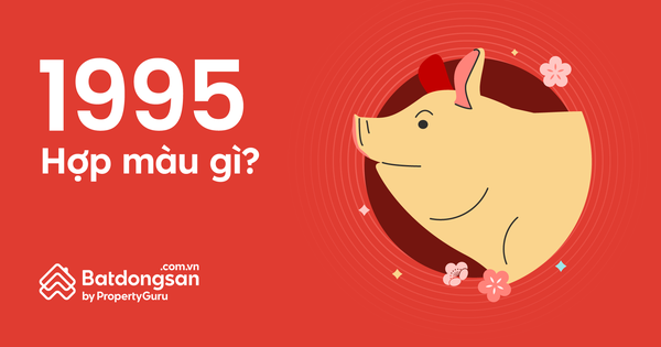 Tìm hiểu tuổi Hợi 1995 hợp màu gì 2024 khi phối đồ và trang trí